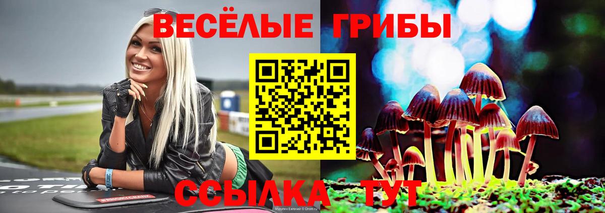 Соликамск  Галлюциногенные грибы мицелий  Вход с VPN 